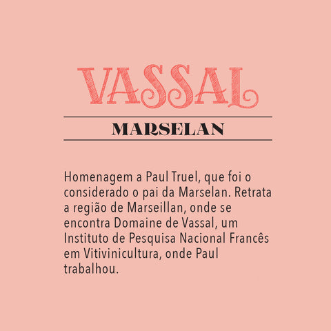 Vinho Tinto Marselan Vassal