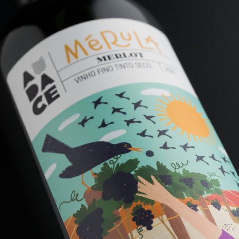 Vinho Tinto Merlot Mérula