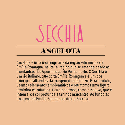 Vinho Tinto Ancelota Secchia