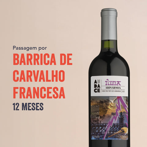 Vinho Fino Tinto Seco Iluna Arinarnoa