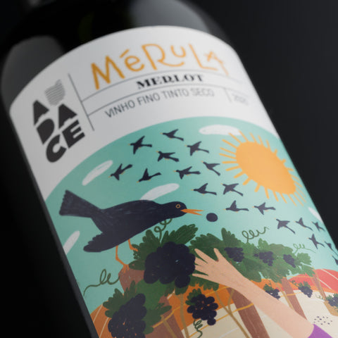 Vinho Tinto Merlot Mérula