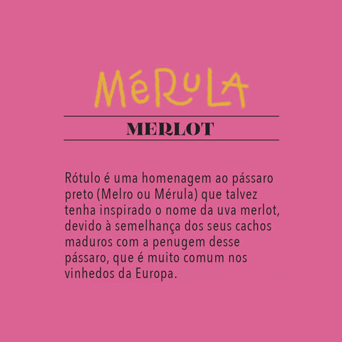 Vinho Tinto Merlot Mérula