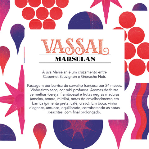 Bag in Box Vinho Tinto Marselan Vassal
