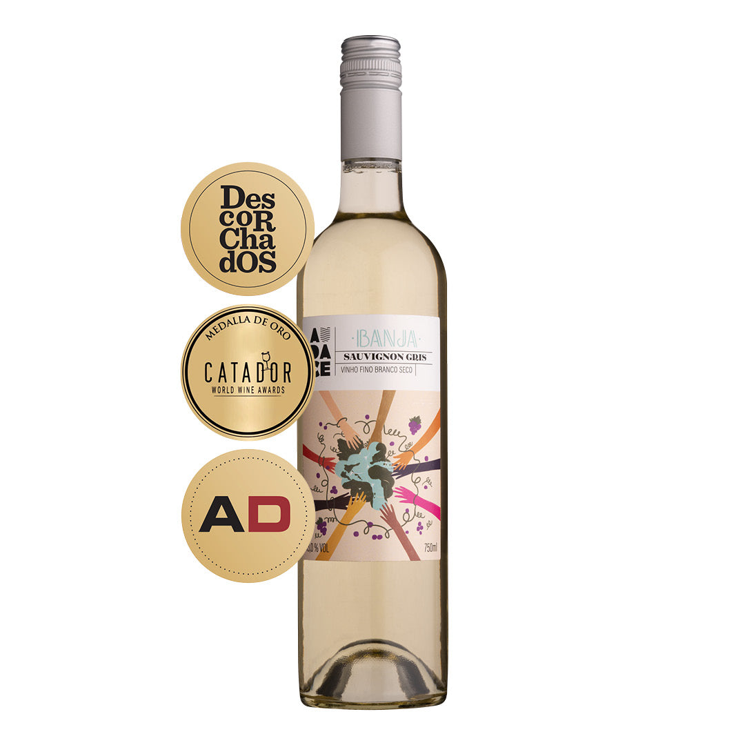 Vinho Branco Sauvignon Gris Banja – Audace Wine