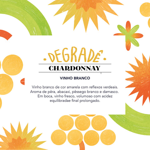 Bag in Box Vinho Branco Chardonnay Degradê