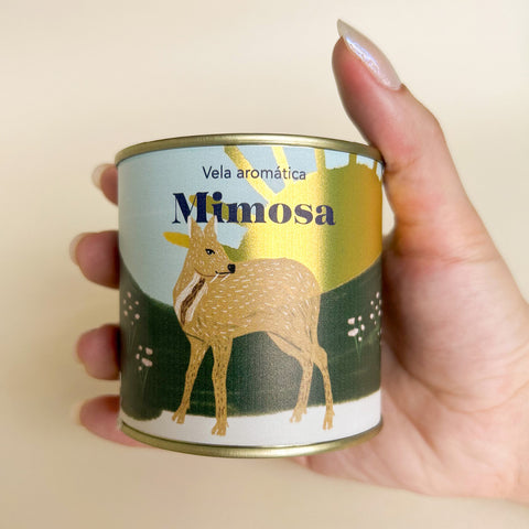 Vela Aromática Mimosa