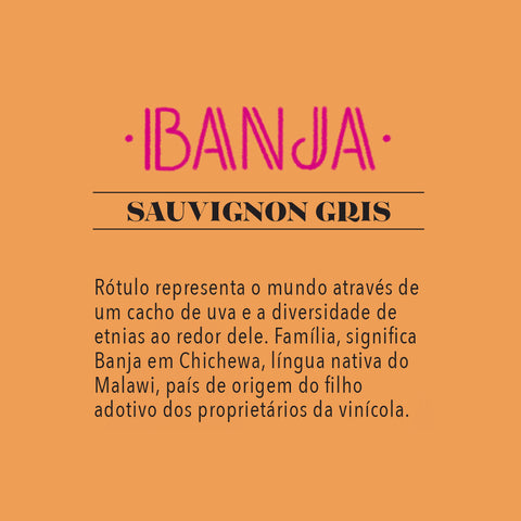 Vinho Branco Sauvignon Gris Banja