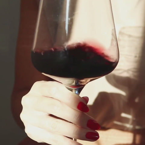 Vinho Tinto Petit Verdot Agogo